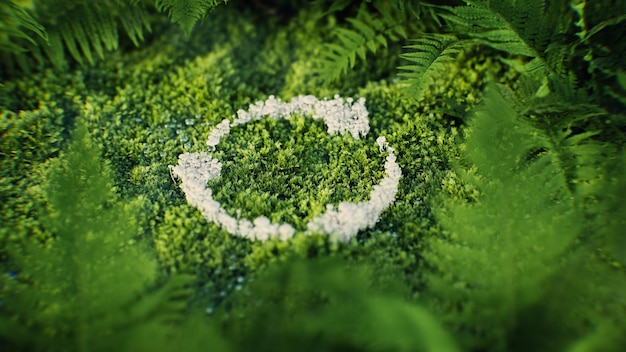 Zrównoważone pozyskiwanie inspiruje odpowiedzialne zakupy